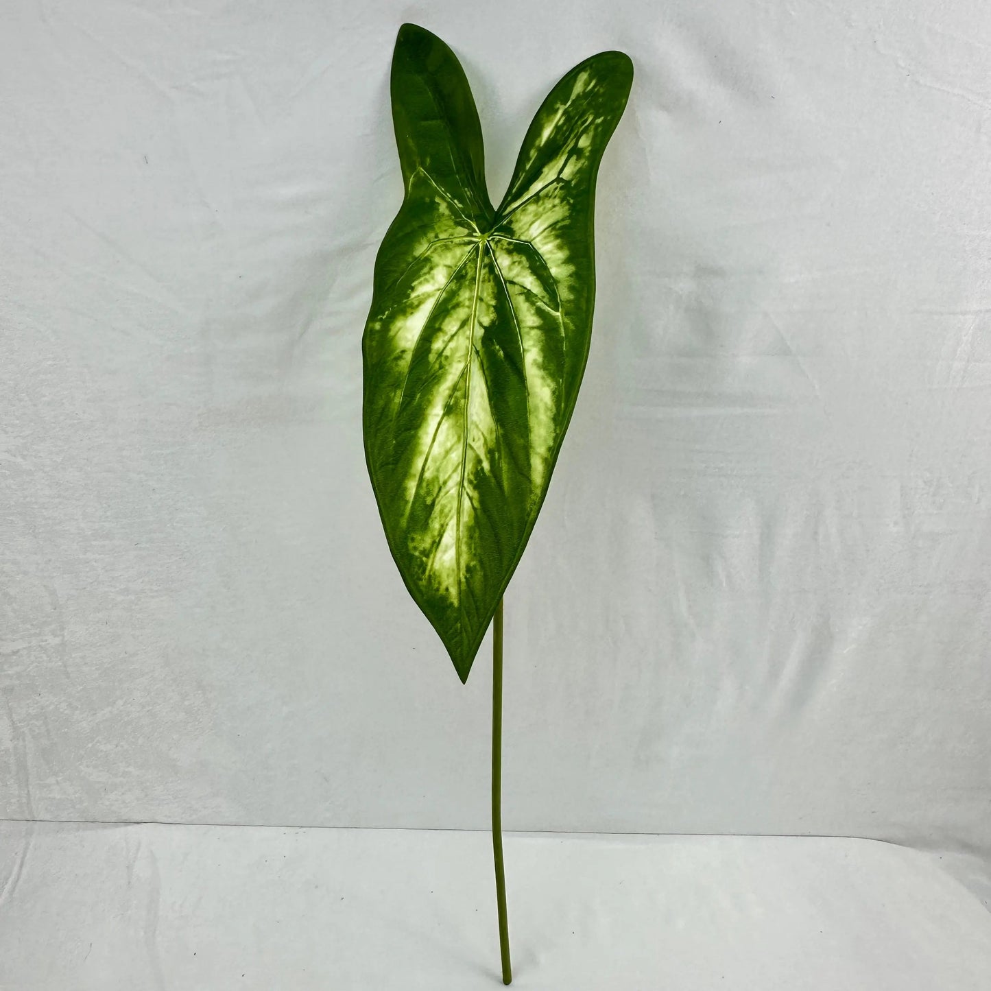 Green Silk Taro Heart Leaf RosesHQ.com