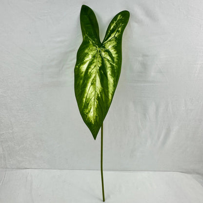 Green Silk Taro Heart Leaf RosesHQ.com