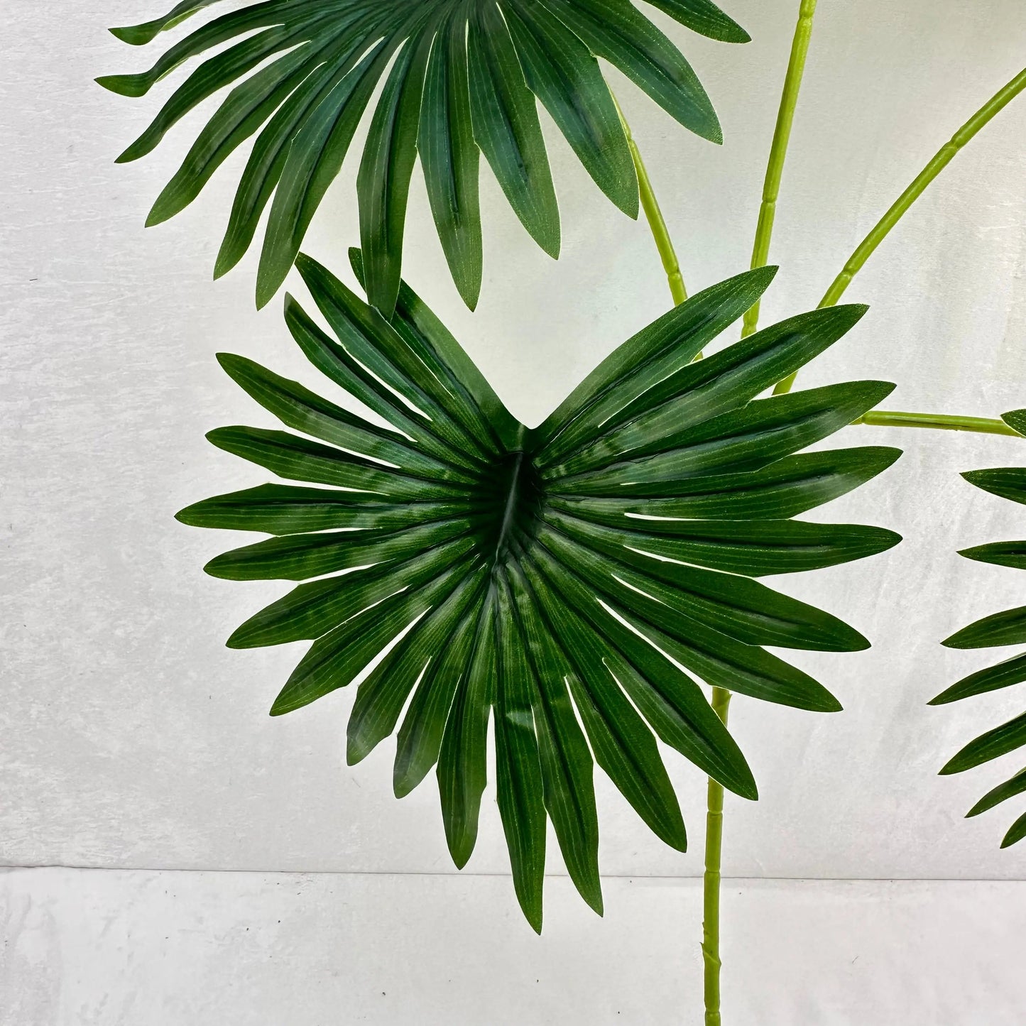 Dark Green Silk Fishtail Palm Leaf 5 Branch RosesHQ.com