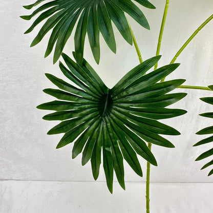 Dark Green Silk Fishtail Palm Leaf 5 Branch RosesHQ.com