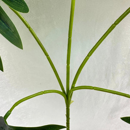 Dark Green Silk Fishtail Palm Leaf 5 Branch RosesHQ.com