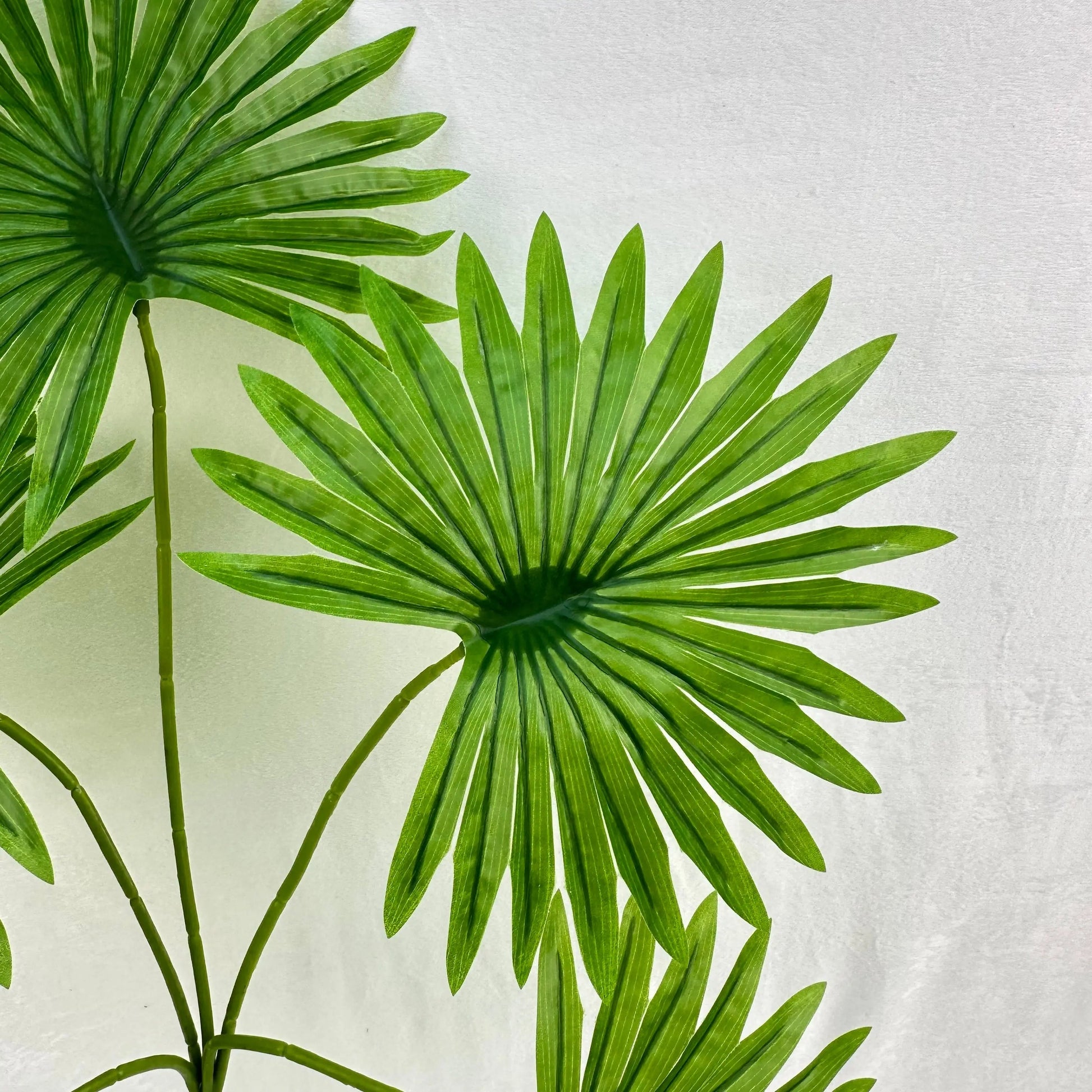 Green Silk Fishtail Palm Leaf 5 Branch RosesHQ.com
