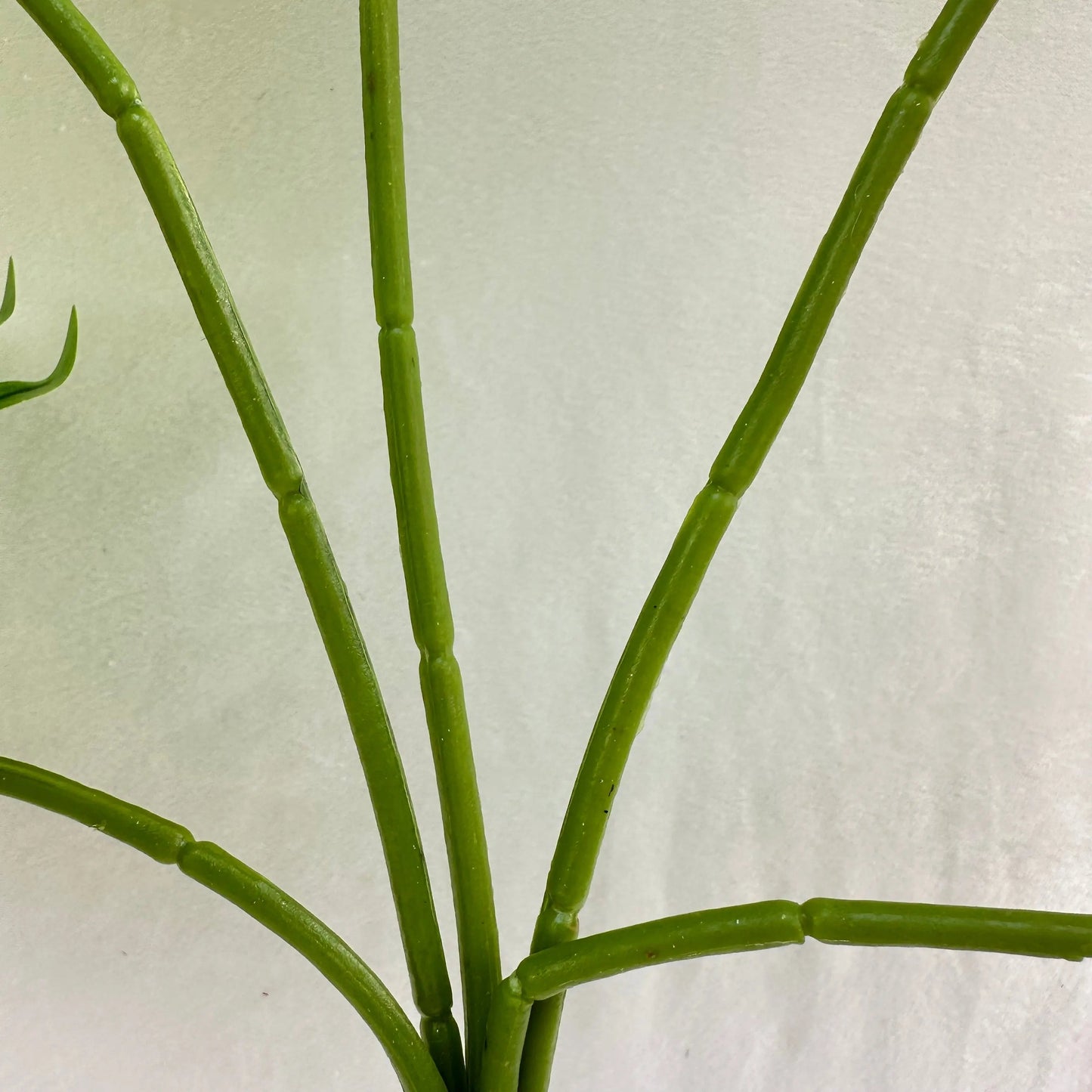 Green Silk Fishtail Palm Leaf 5 Branch RosesHQ.com