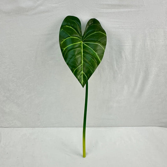 Green Silk Taro Heart Leaf RosesHQ.com