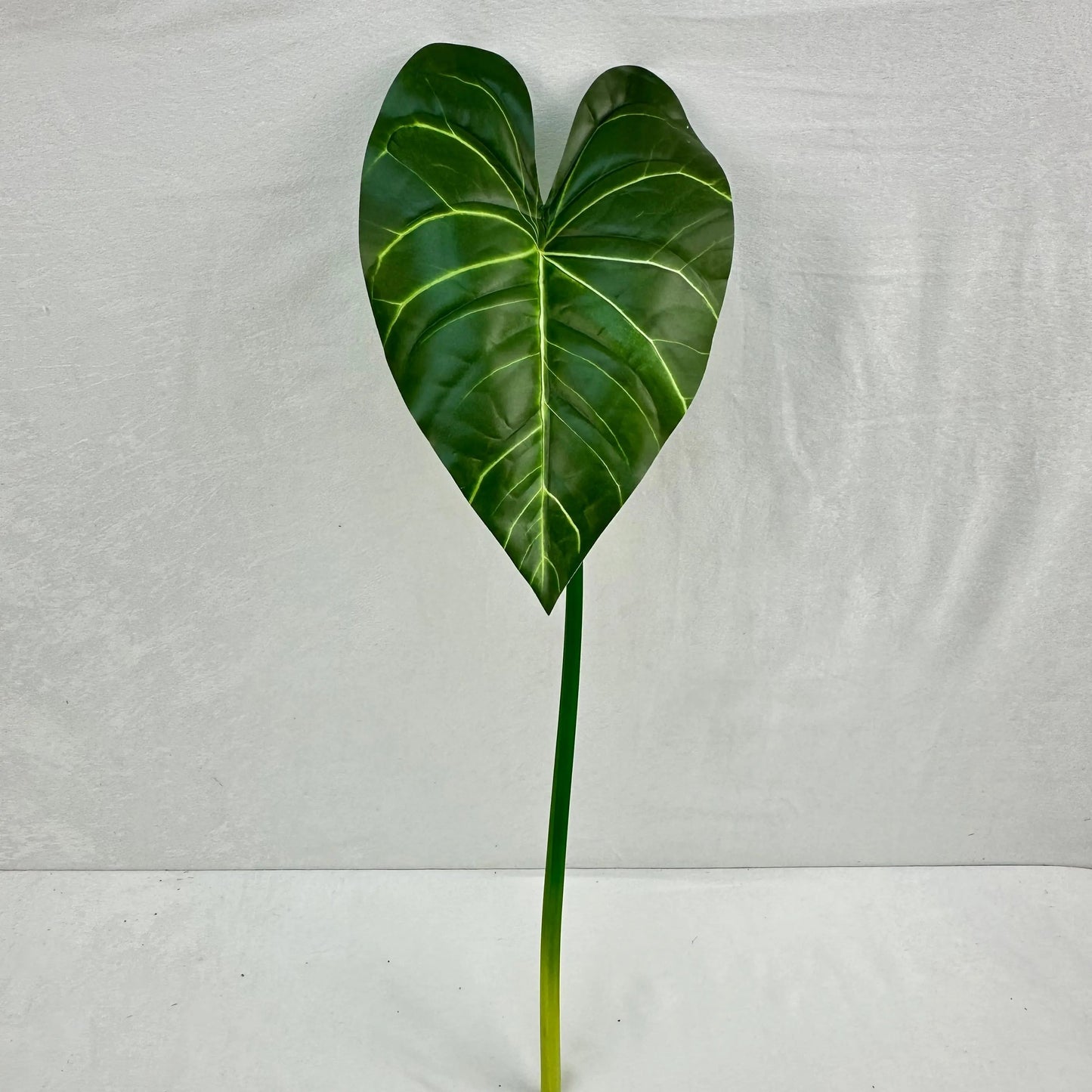 Green Silk Taro Heart Leaf RosesHQ.com