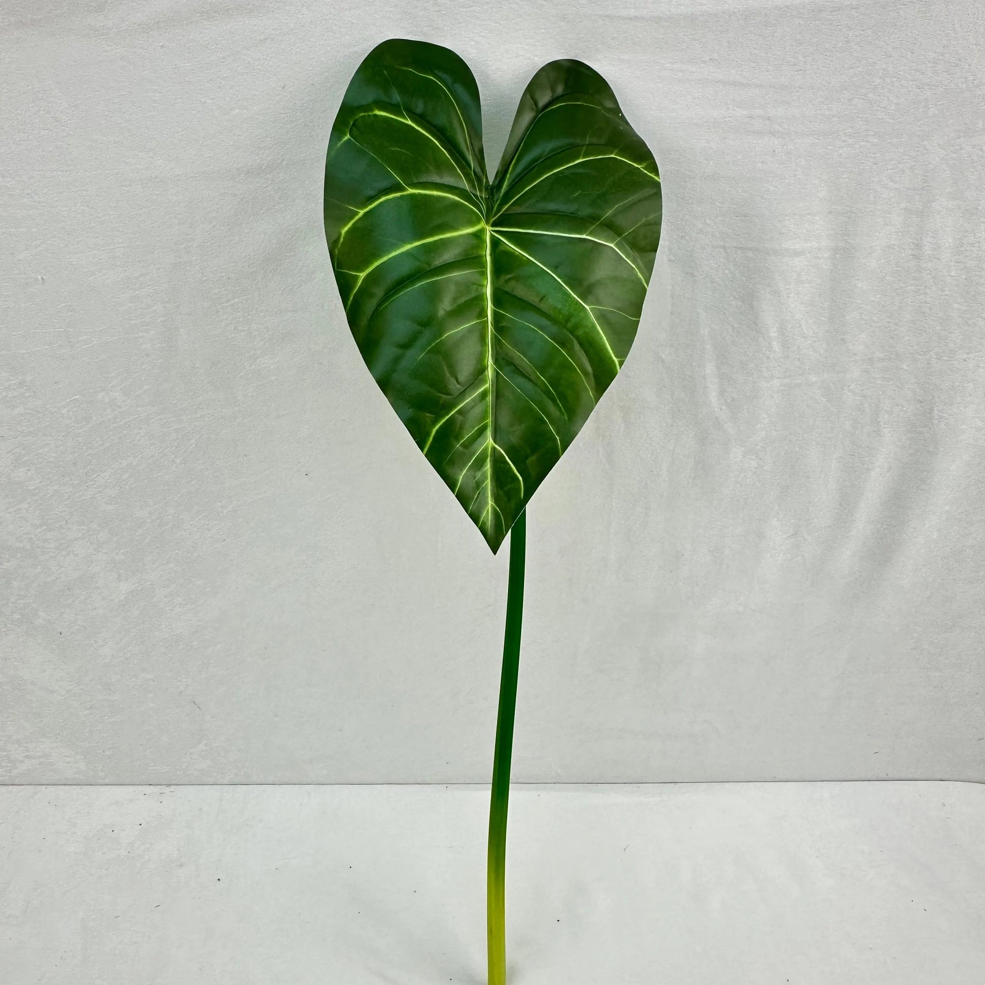 Green Silk Taro Heart Leaf RosesHQ.com