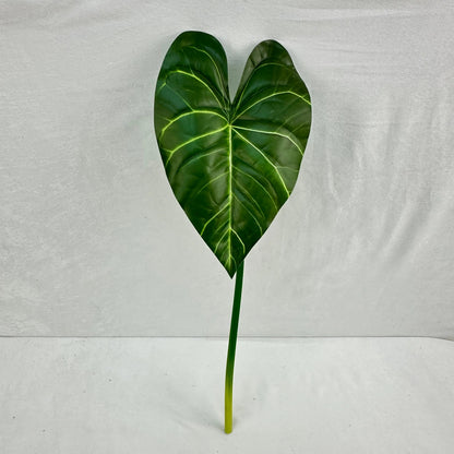 Green Silk Taro Heart Leaf RosesHQ.com