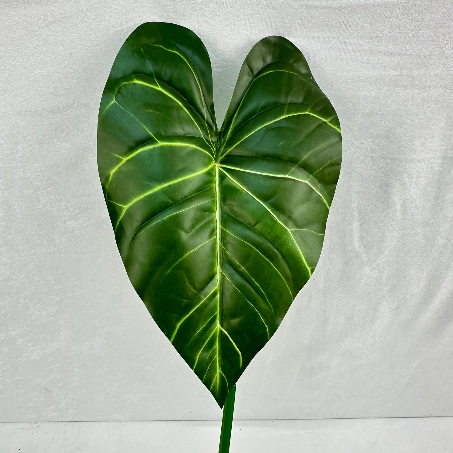 Green Silk Taro Heart Leaf RosesHQ.com