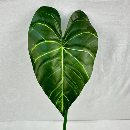 Green Silk Taro Heart Leaf RosesHQ.com