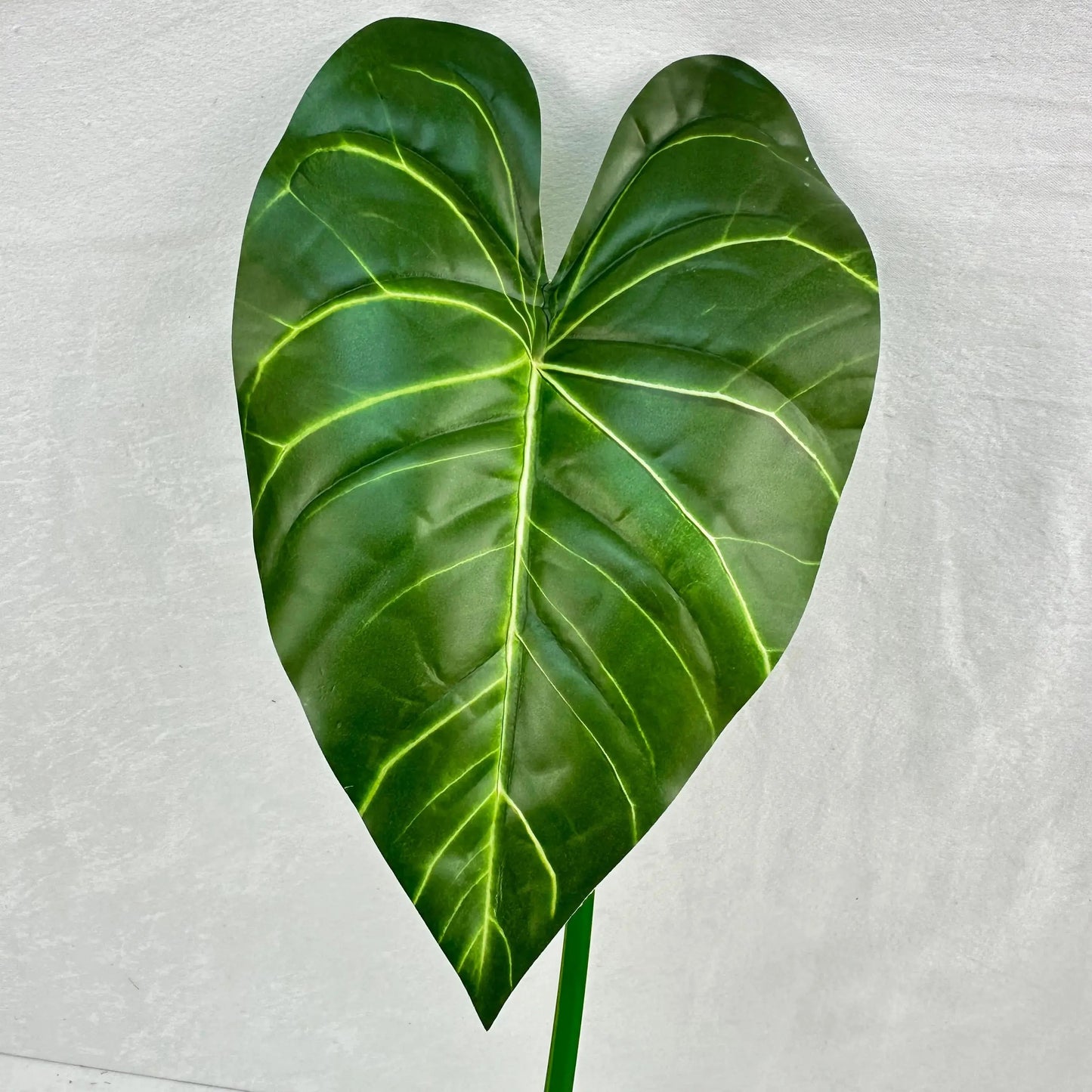 Green Silk Taro Heart Leaf RosesHQ.com