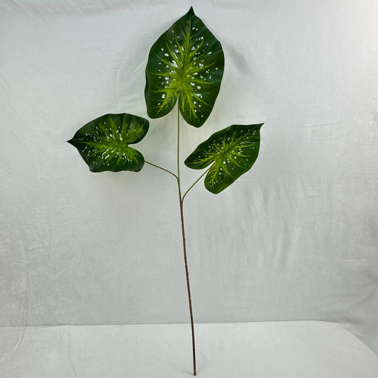 Green Silk Caladium 3 Leafs RosesHQ.com