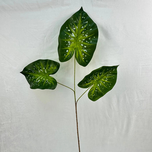 Green Silk Caladium 3 Leafs RosesHQ.com