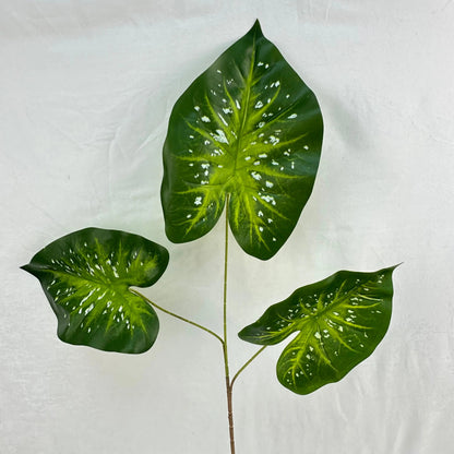 Green Silk Caladium 3 Leafs RosesHQ.com