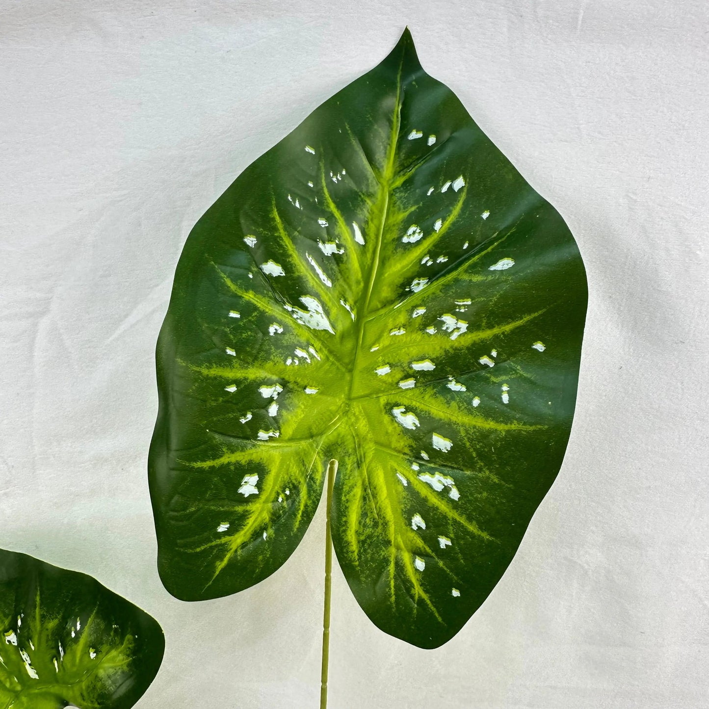 Green Silk Caladium 3 Leafs RosesHQ.com