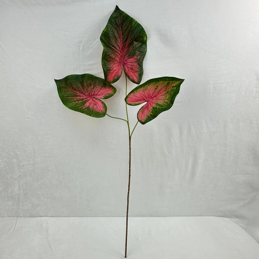Green Silk Caladium 3 Leafs RosesHQ.com