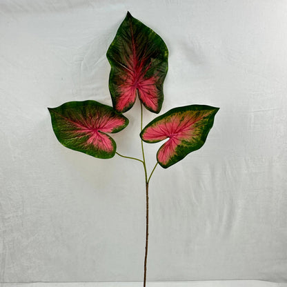 Green Silk Caladium 3 Leafs RosesHQ.com