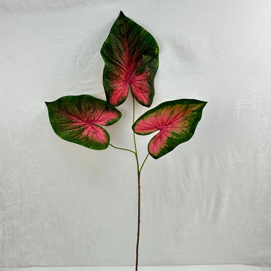 Green Silk Caladium 3 Leafs RosesHQ.com