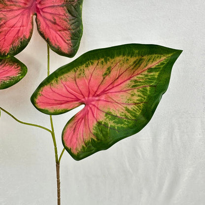 Green Silk Caladium 3 Leafs RosesHQ.com