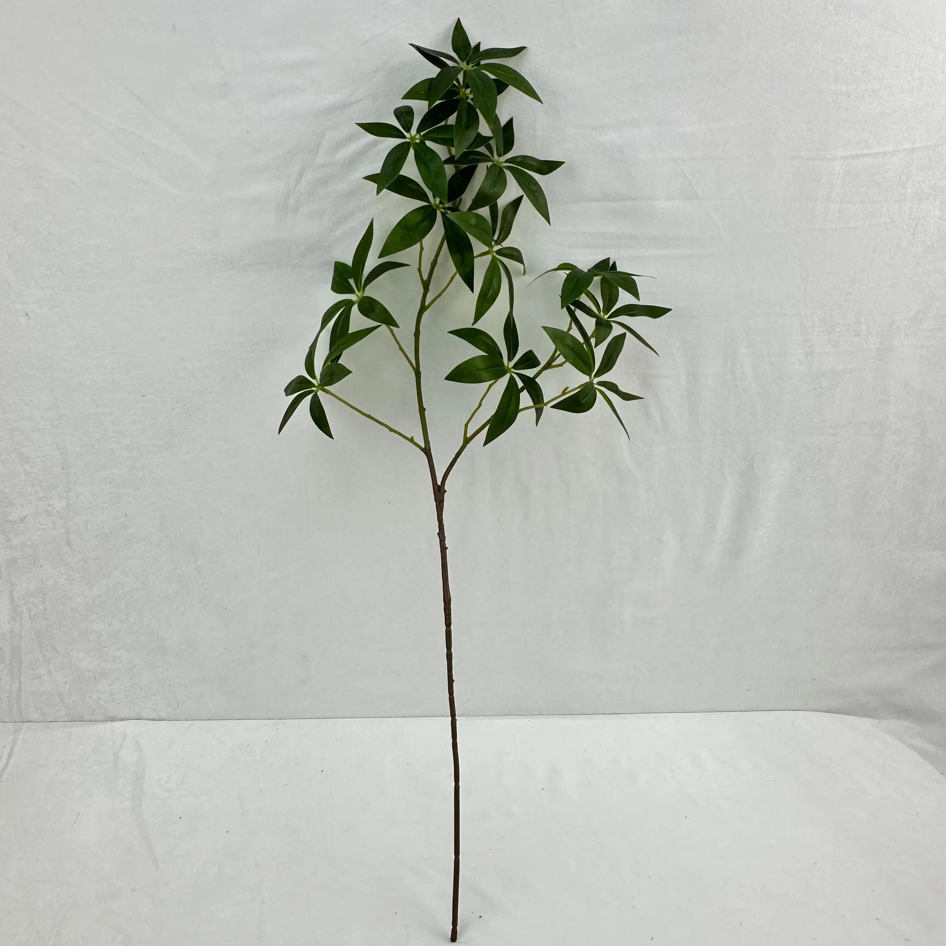 Green Silk Fortune Ruscus Leaf Branch RosesHQ.com