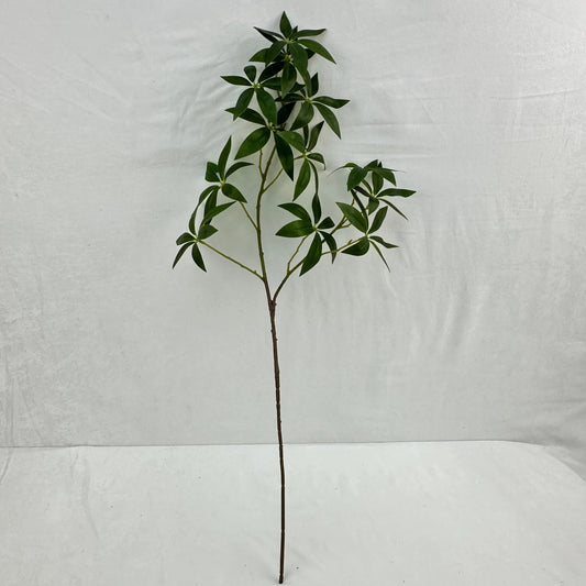 Green Silk Fortune Ruscus Leaf Branch RosesHQ.com