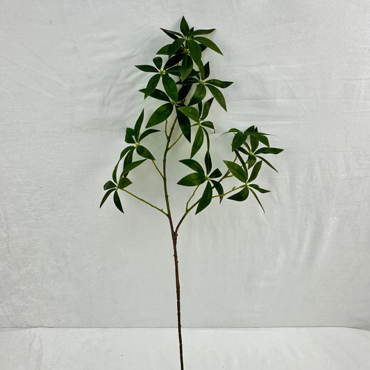 Green Silk Fortune Ruscus Leaf Branch RosesHQ.com