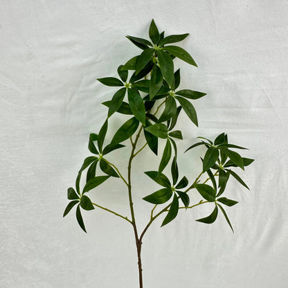 Green Silk Fortune Ruscus Leaf Branch RosesHQ.com