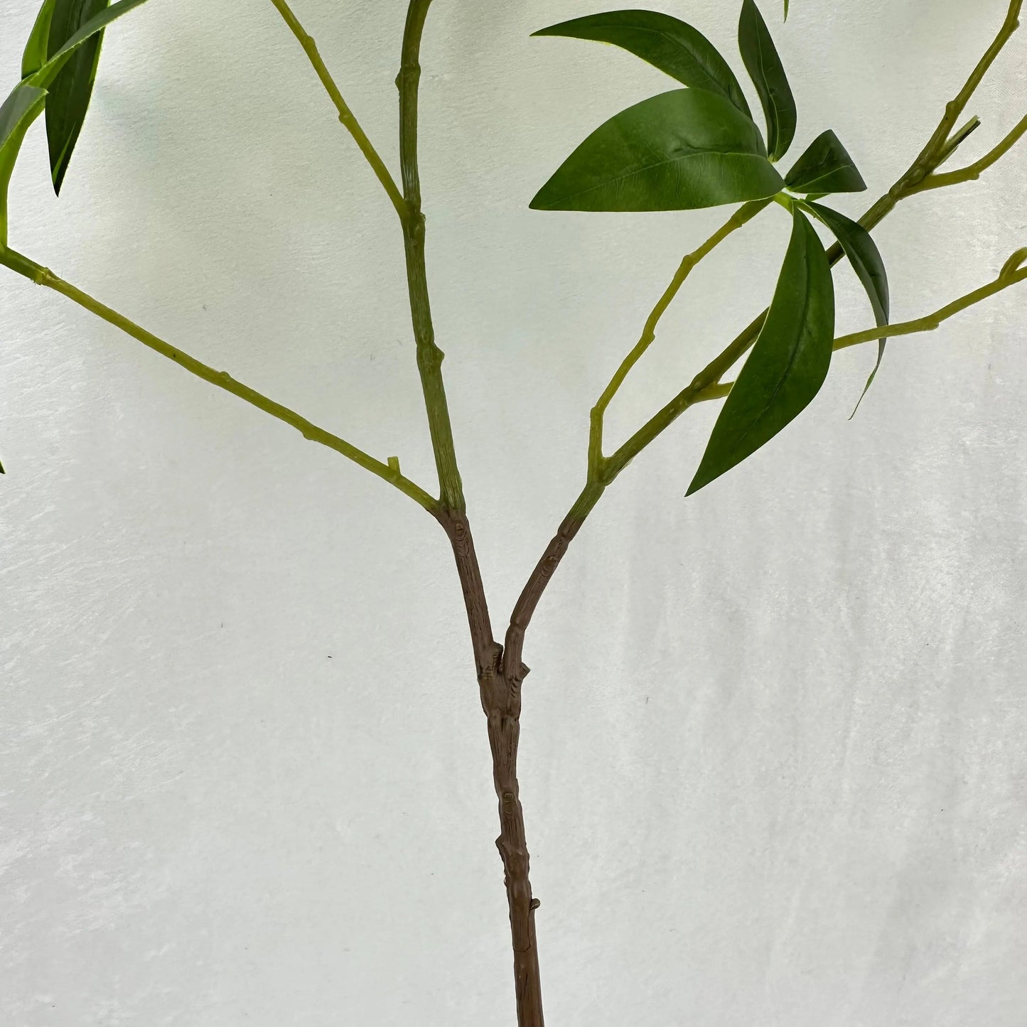 Green Silk Fortune Ruscus Leaf Branch RosesHQ.com