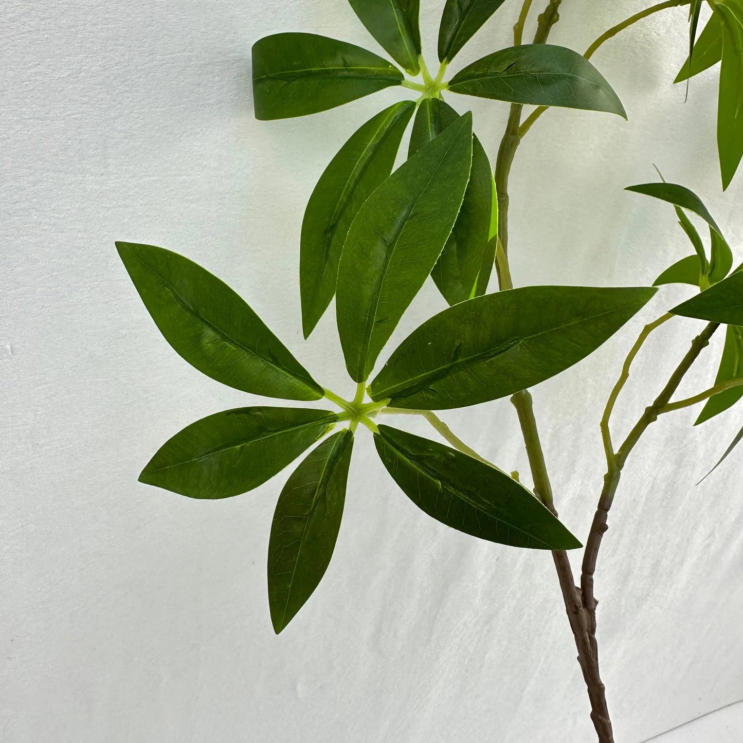 Green Silk Fortune Ruscus Leaf Branch RosesHQ.com
