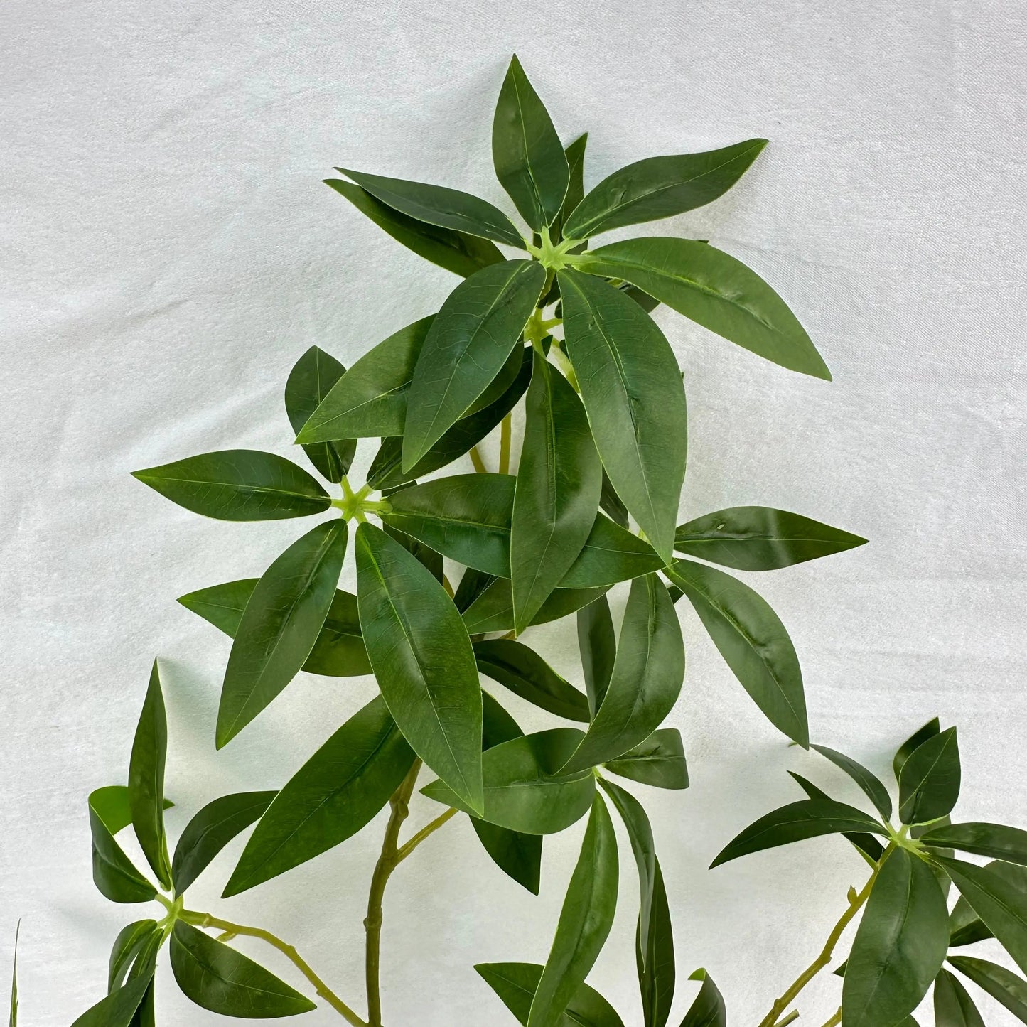 Green Silk Fortune Ruscus Leaf Branch RosesHQ.com