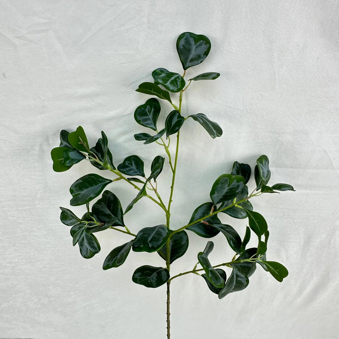 Green Silk Heart Shaped Ficus Leaf Branch RosesHQ.com