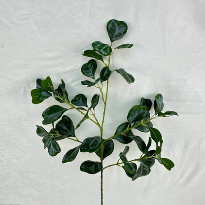 Green Silk Heart Shaped Ficus Leaf Branch RosesHQ.com