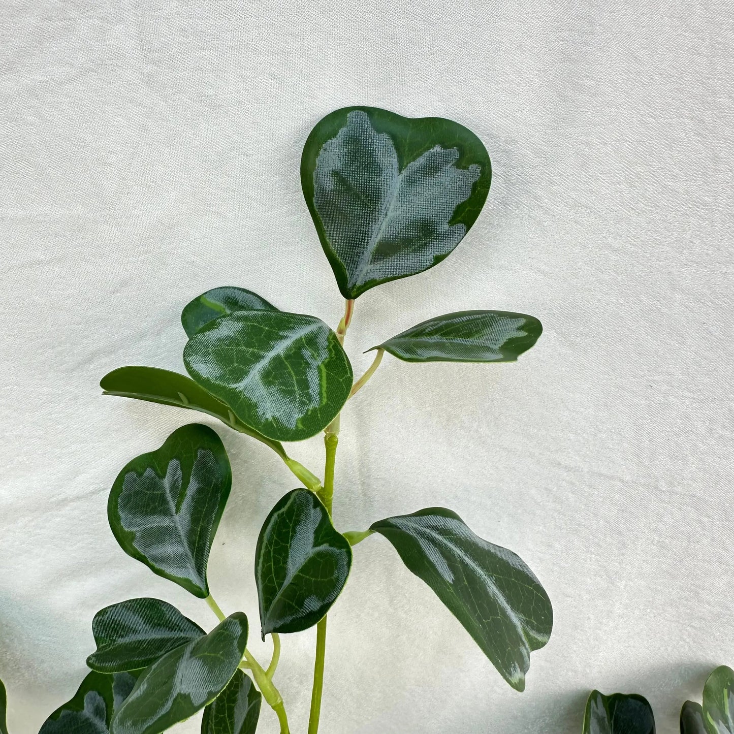 Green Silk Heart Shaped Ficus Leaf Branch RosesHQ.com