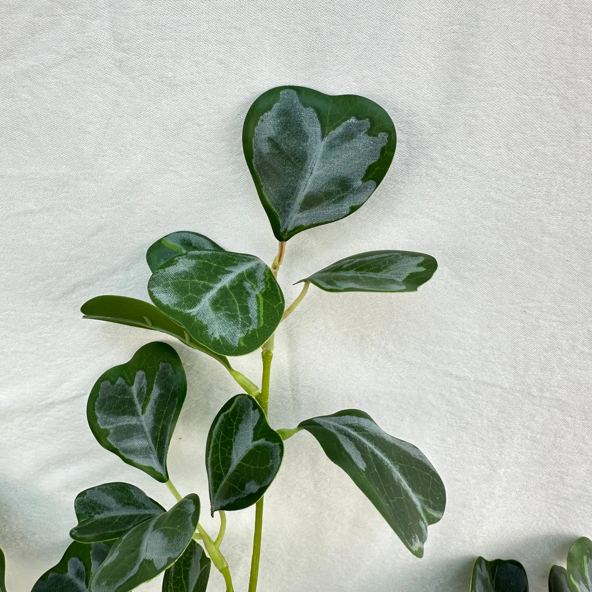 Green Silk Heart Shaped Ficus Leaf Branch RosesHQ.com
