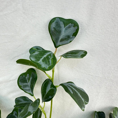 Green Silk Heart Shaped Ficus Leaf Branch RosesHQ.com