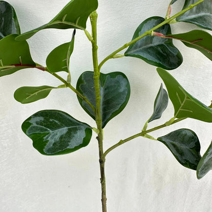 Green Silk Heart Shaped Ficus Leaf Branch RosesHQ.com