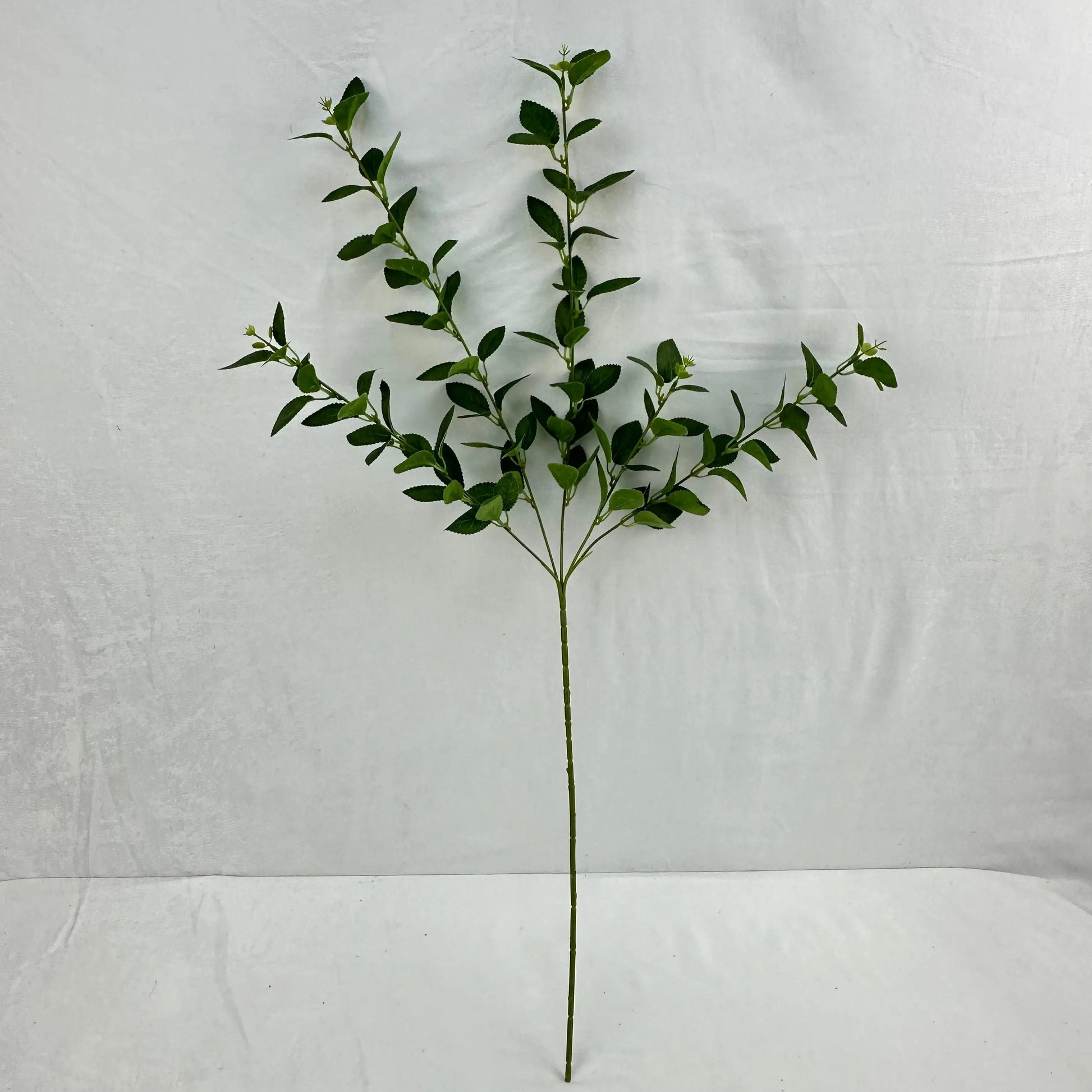 Green Silk Osmanthus Leaf 5 Branch RosesHQ.com