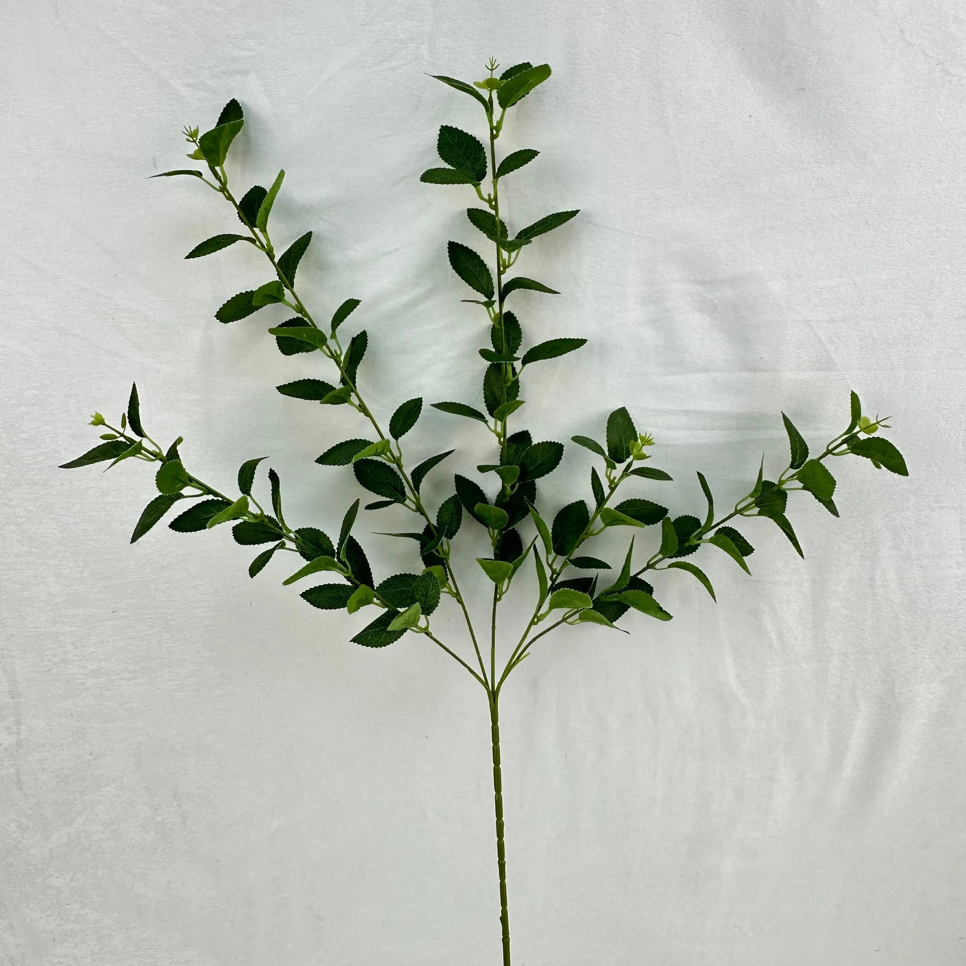 Green Silk Osmanthus Leaf 5 Branch RosesHQ.com