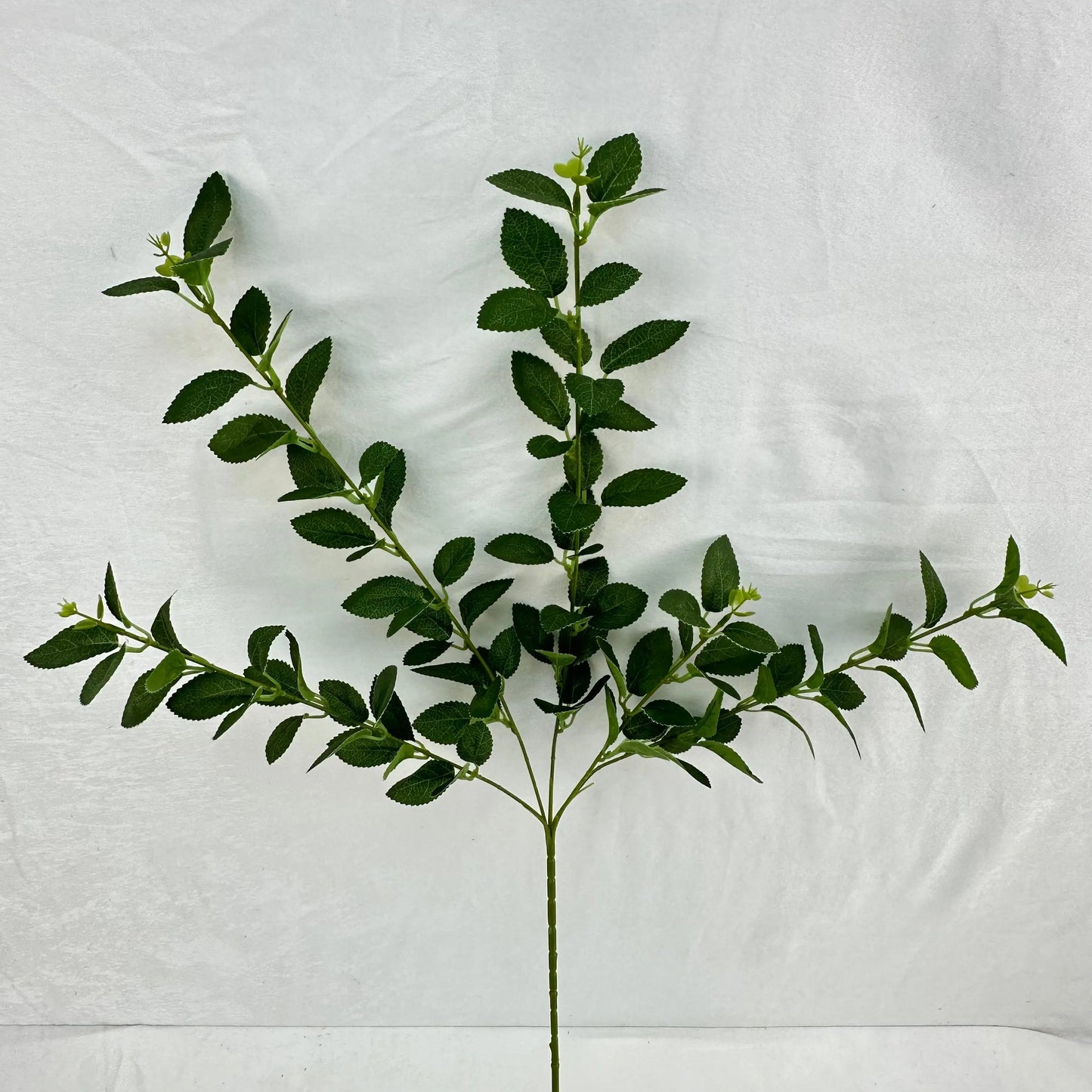 Green Silk Osmanthus Leaf 5 Branch RosesHQ.com