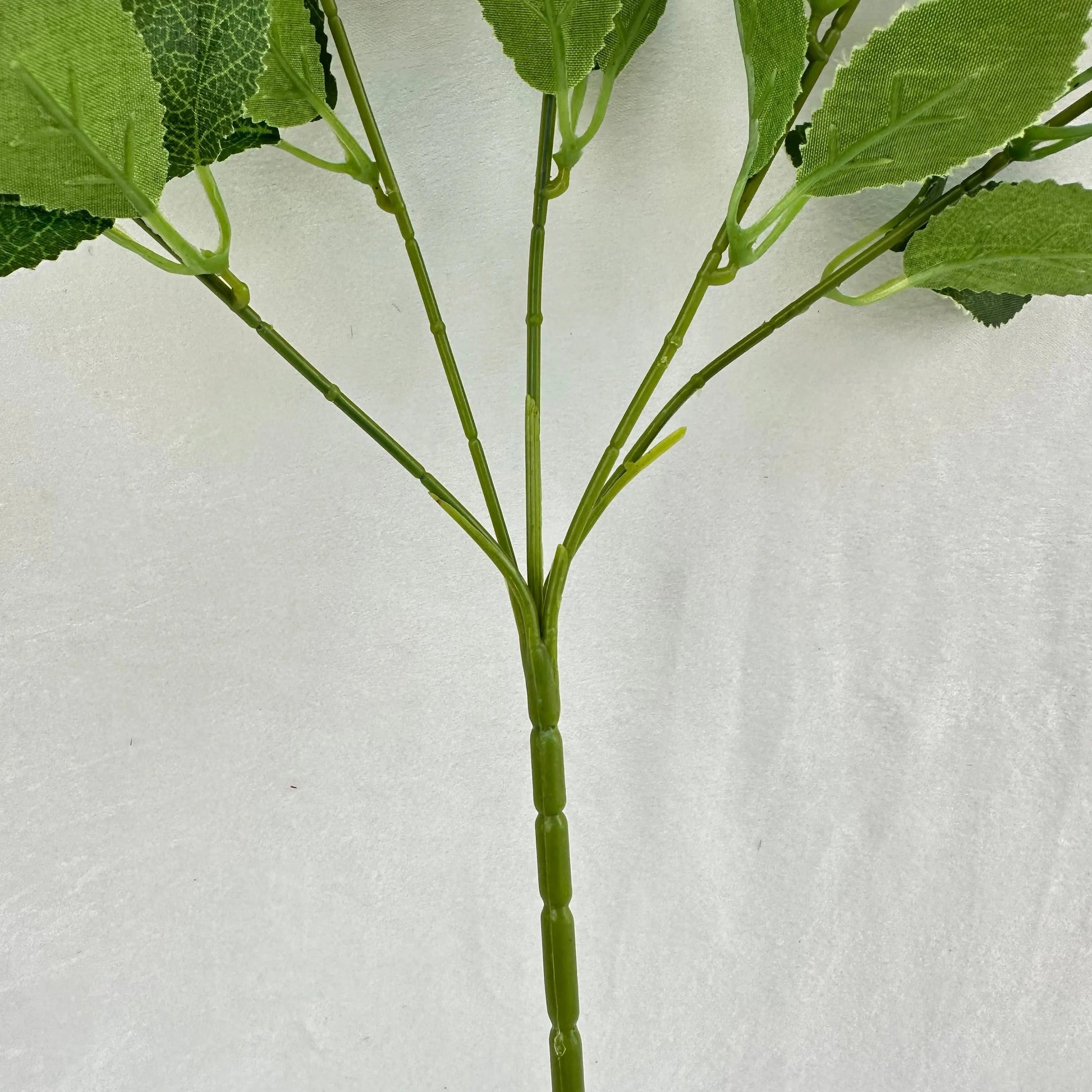 Green Silk Osmanthus Leaf 5 Branch RosesHQ.com