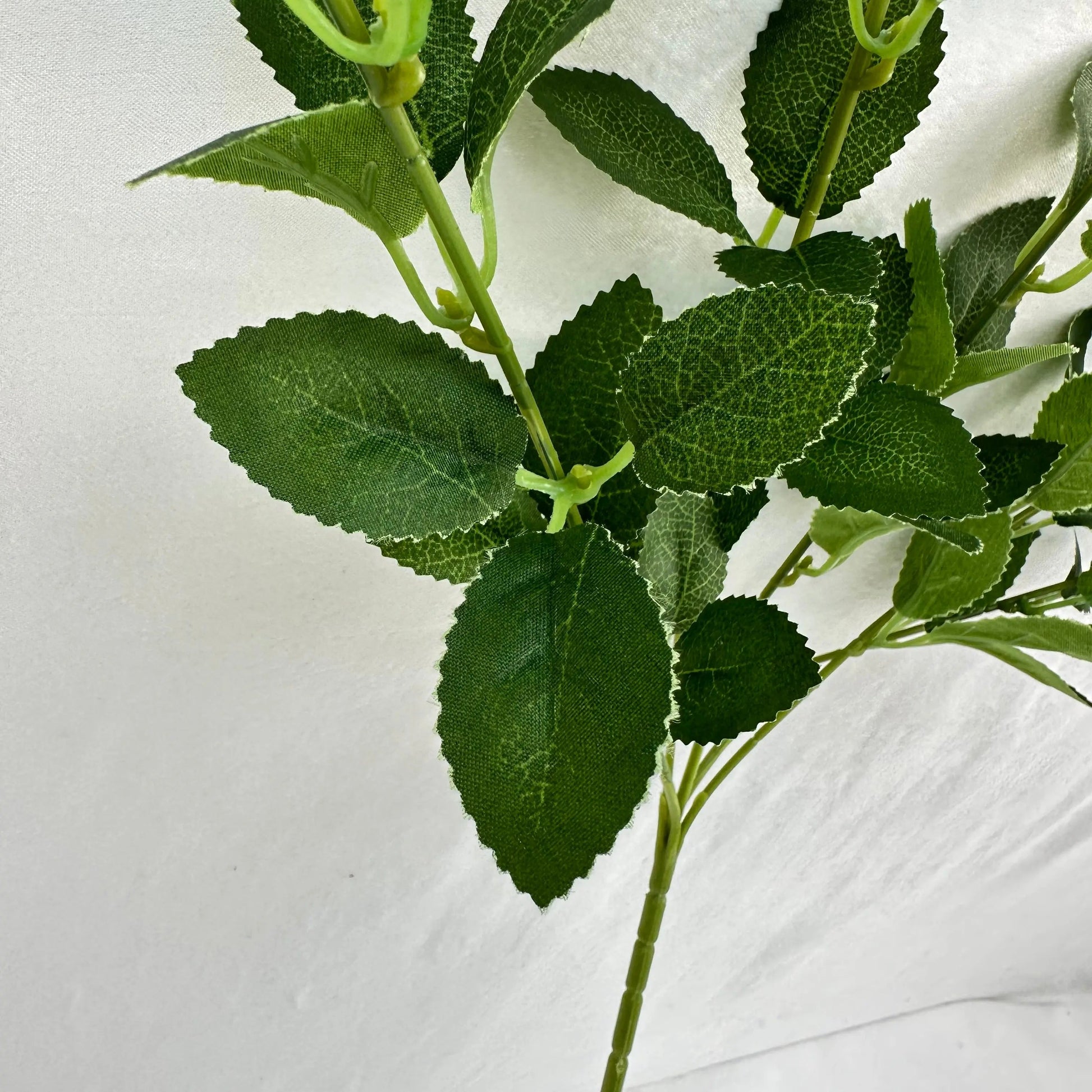 Green Silk Osmanthus Leaf 5 Branch RosesHQ.com