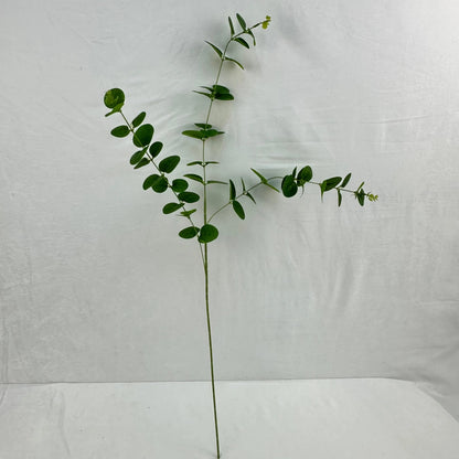 Green Silk Money Leaf 3 Branch RosesHQ.com