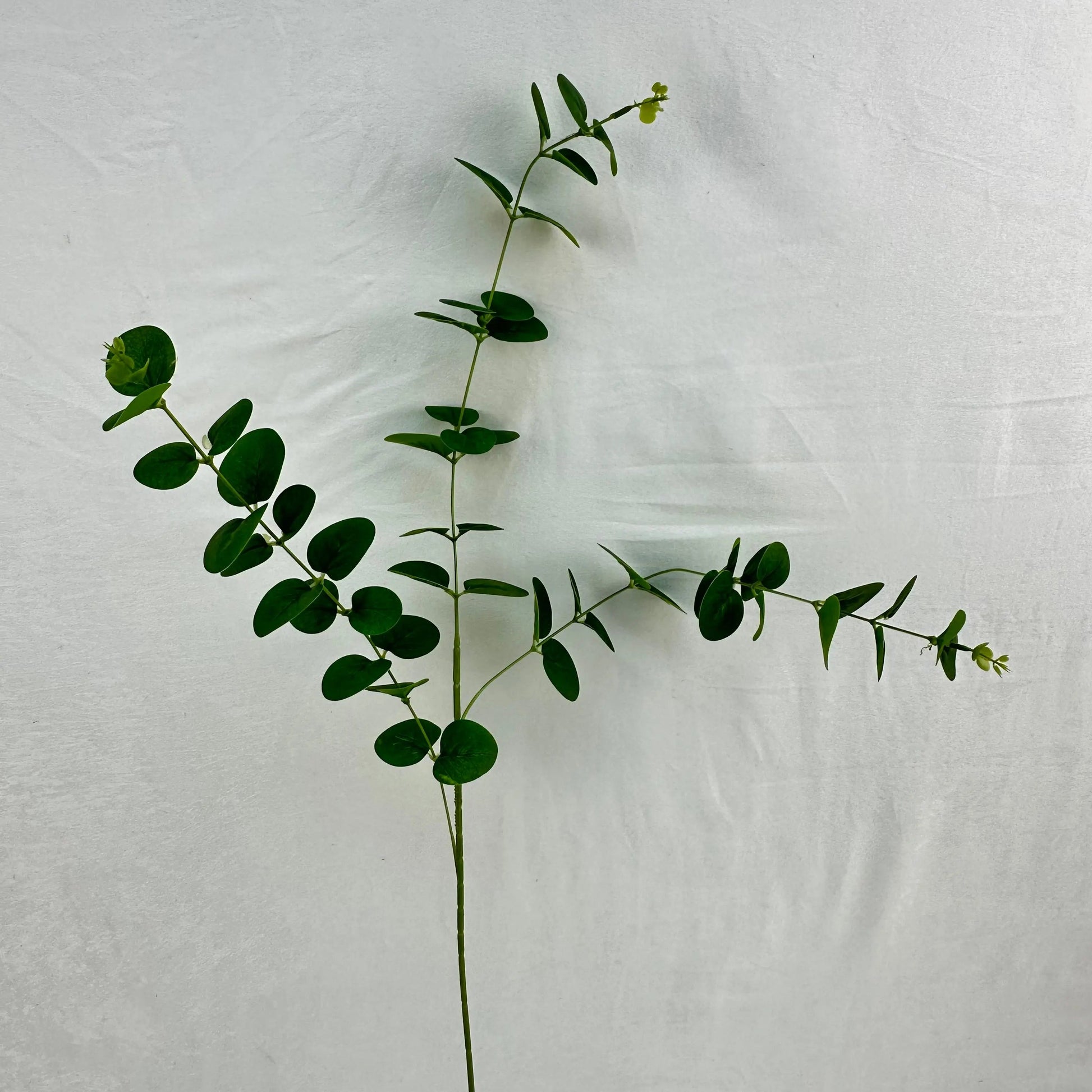 Green Silk Money Leaf 3 Branch RosesHQ.com