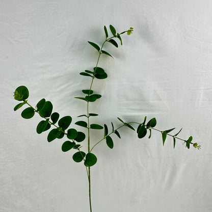 Green Silk Money Leaf 3 Branch RosesHQ.com