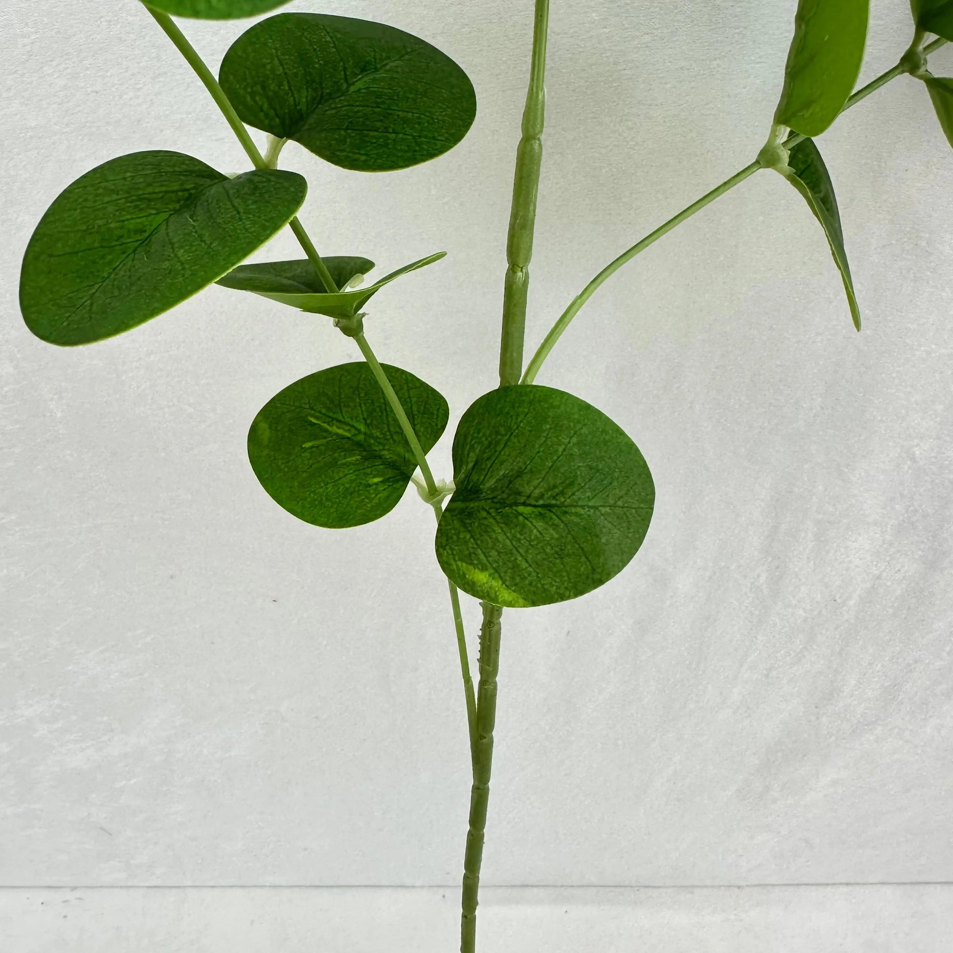 Green Silk Money Leaf 3 Branch RosesHQ.com