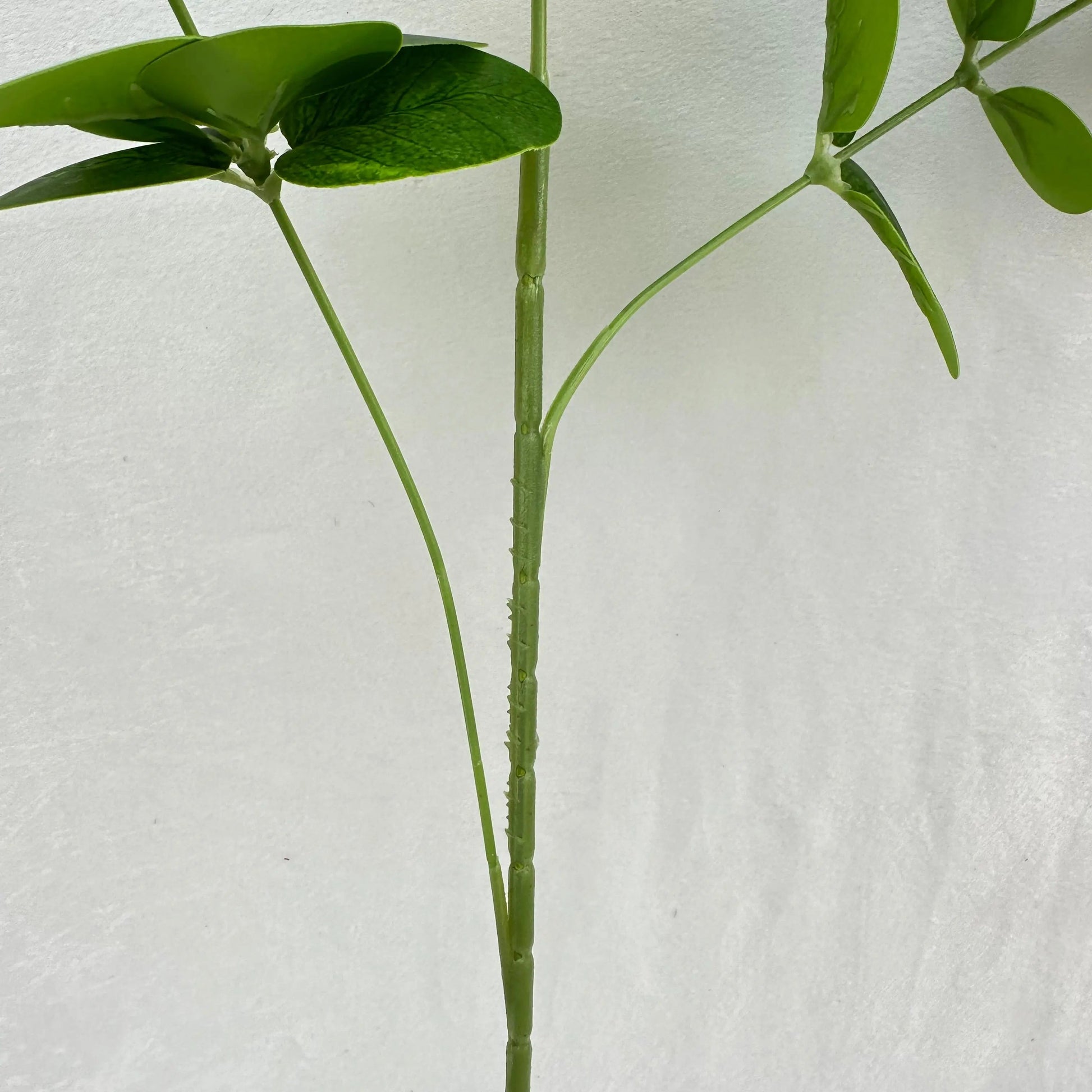 Green Silk Money Leaf 3 Branch RosesHQ.com