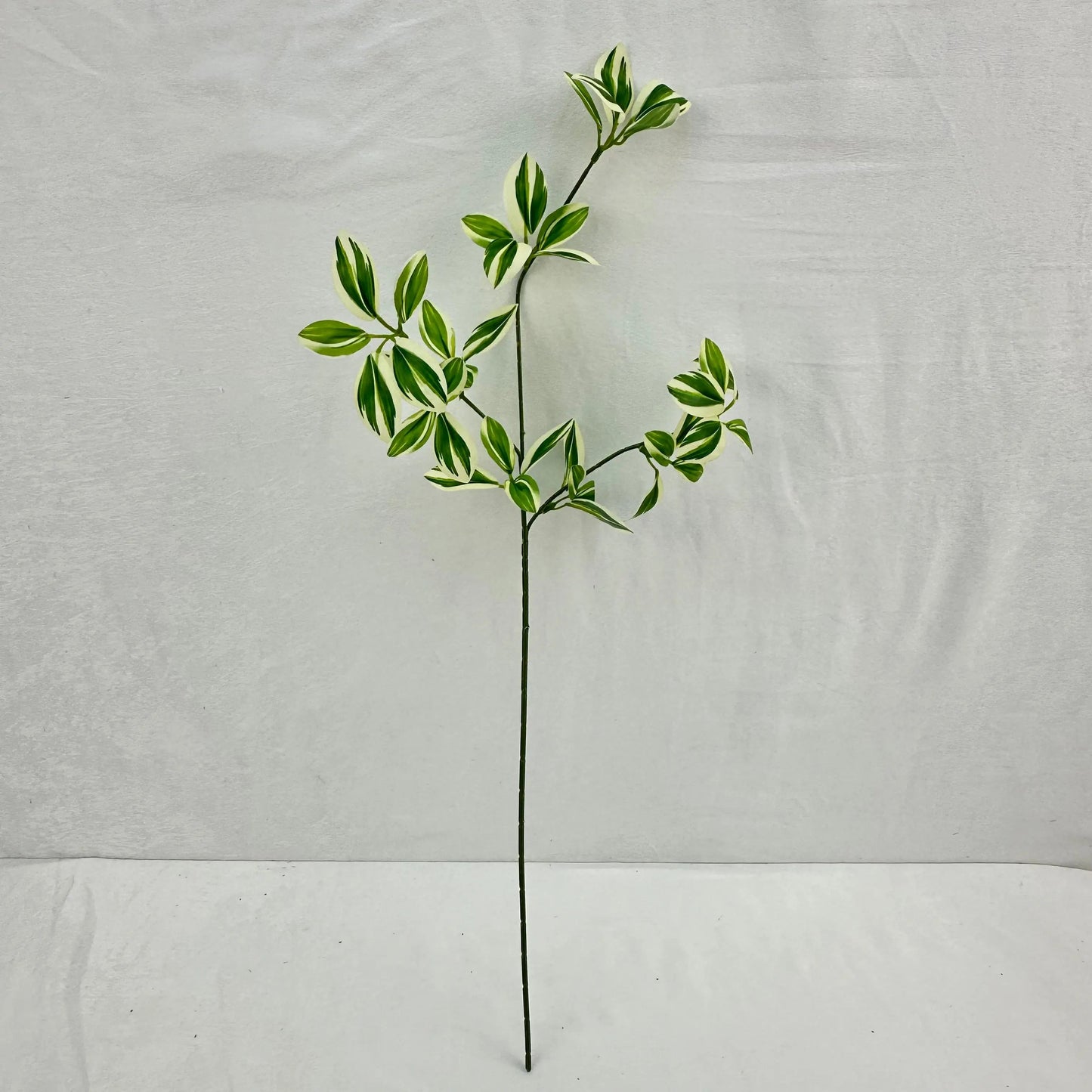 Green Silk Spider Plant 3 Branch RosesHQ.com