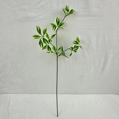 Green Silk Spider Plant 3 Branch RosesHQ.com