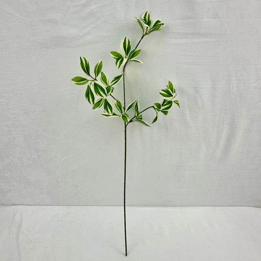 Green Silk Spider Plant 3 Branch RosesHQ.com