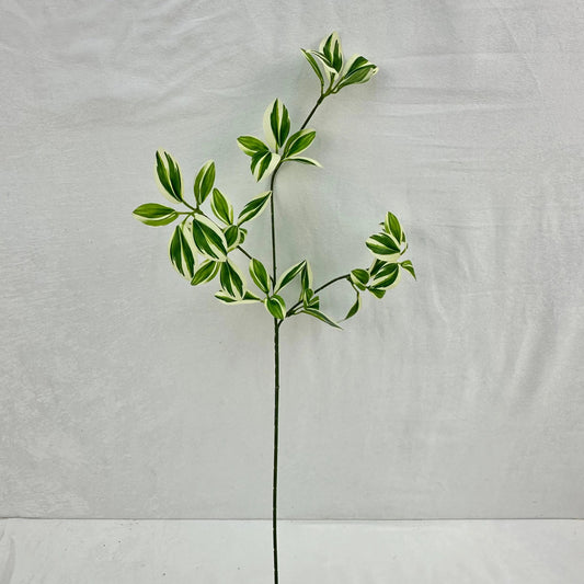 Green Silk Spider Plant 3 Branch RosesHQ.com