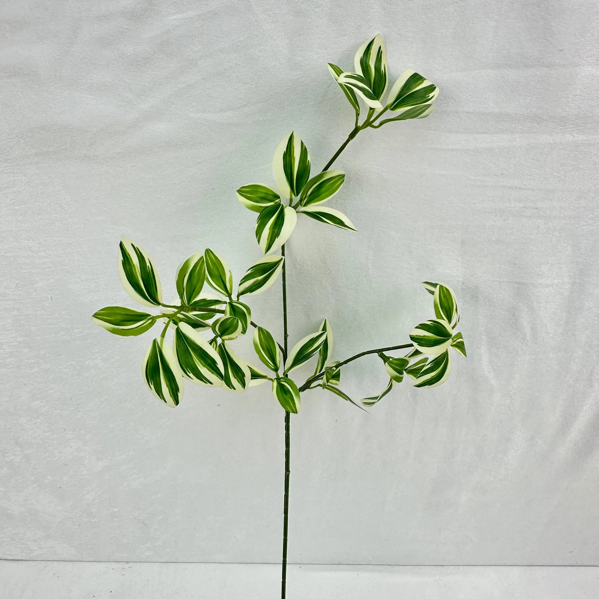 Green Silk Spider Plant 3 Branch RosesHQ.com
